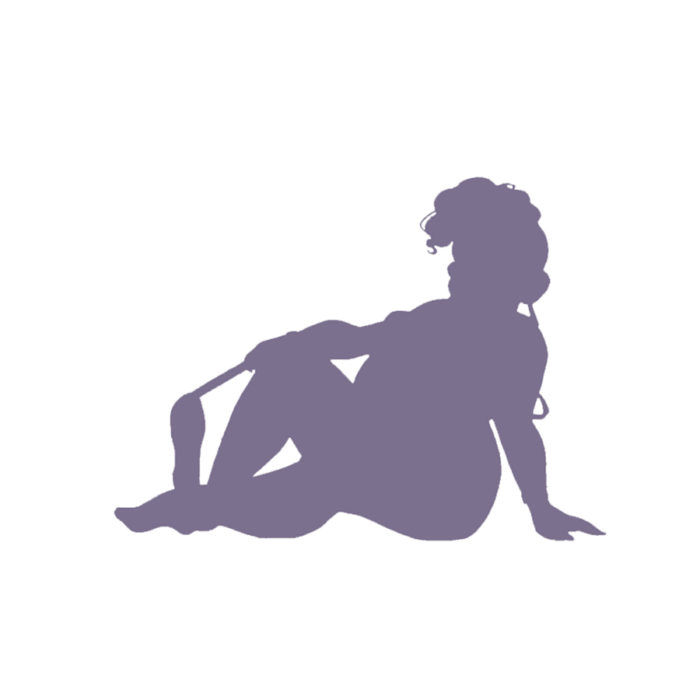 Silhouette preview of a Single Custom Illustration